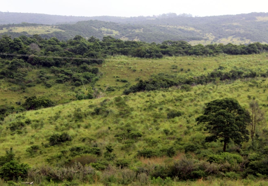 Commercial Property for Sale in East London Rural Eastern Cape